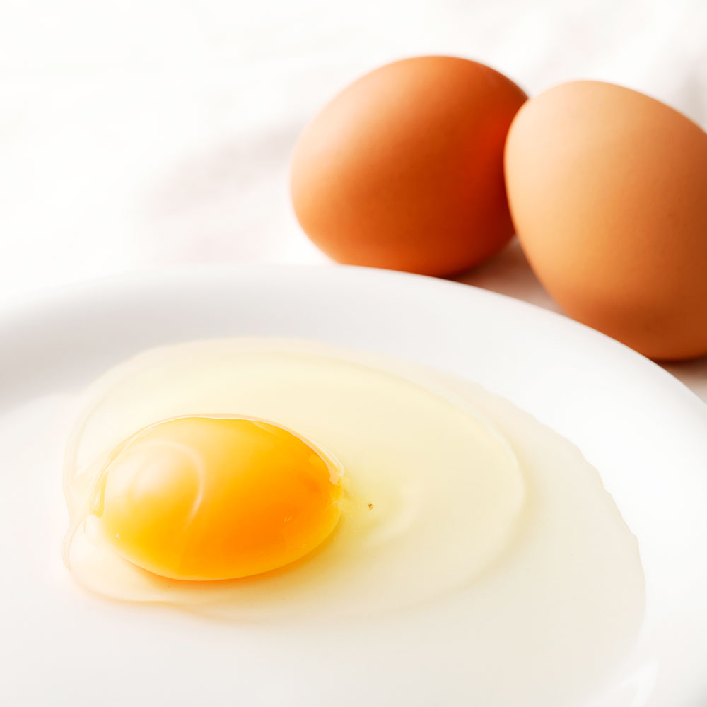 熊本県産 赤たまご 30個 玉子 たまご 30個のうち3個は破損補償内 M Lサイズ 赤卵 もじょか堂 鶏卵 送料無料 生卵 卵 国産