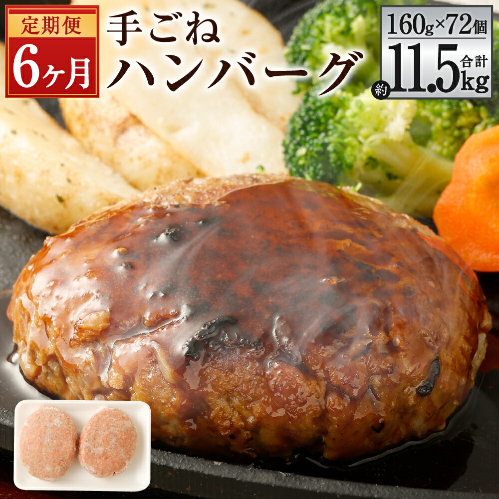 ふるさと納税 肉 ハンバーグ 熊本県 水俣市 定期便6回 馬肉ハンバーグ 約150g×10個 計約9kg 馬 熊本 冷凍 小分け C39Z6 みなまたを満喫！お肉6ヶ月定期便 総量約6.6kg 豚肉 牛肉 鶏肉 こま