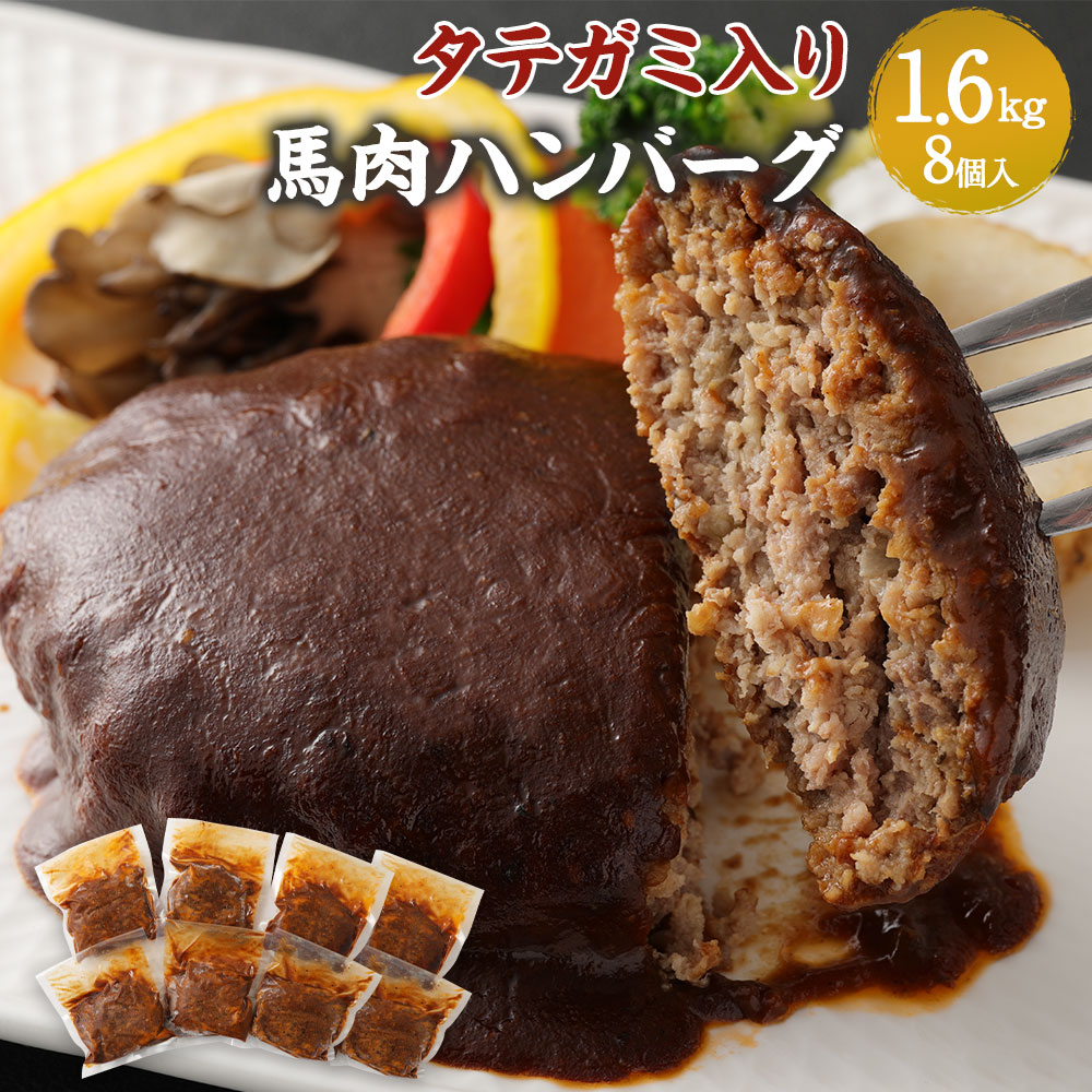 【ふるさと納税】タテガミ入り馬肉ハンバーグ 8個セット 合計約1.6kg 200g&times;8個 デミグラスソース ハンバーグ 馬肉 惣菜 おかず 真空パック 冷凍 たてがみ コウネ 送料無料｜熊本県水俣市
