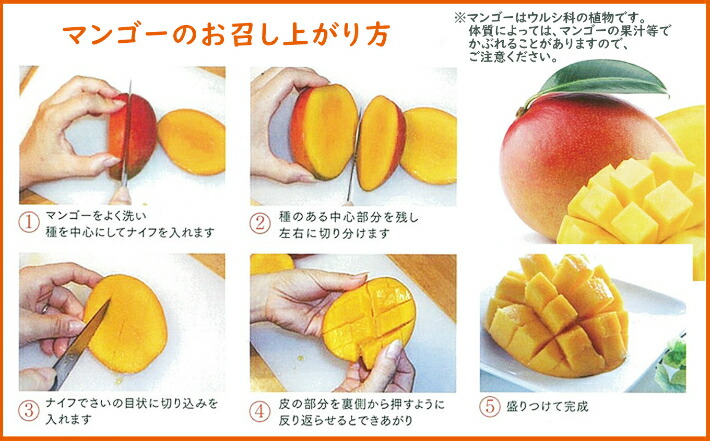 数量限定 自社農園から直接 お届けします ふるさと納税 フルーツ フルーツ 果物 マンゴー 完熟マンゴー 1 1 600ｇ 約400ｇ 4玉 果物 九州 熊本 玉名 旬 夏 送料無料 熊本県玉名市