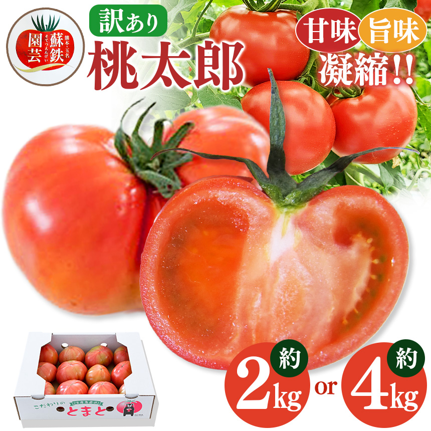 【ふるさと納税】ご家庭用 トマト 桃太郎 選べる 内容量 約 2kg / 4kg ＜12月～6月で発送＞ | 玉名 熊本