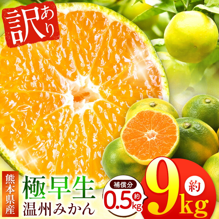 【ふるさと納税】 訳あり 熊本県産 温州みかん 極早生 約 9kg +約 0.5kg (補償分）| フルーツ 果物 くだもの 柑橘 柑橘類 みかん ミカン 蜜柑 ご家庭用 送料無料 熊本県 玉名市｜熊本県玉名市