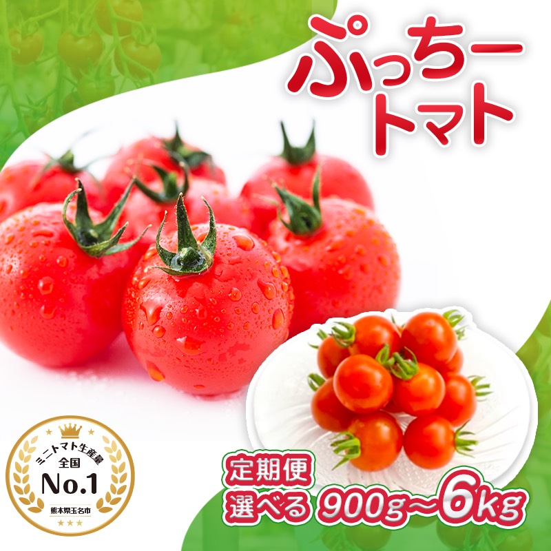 【ふるさと納税】 ぷっちートマト ミニトマト 900g or 1.8kg or 3kg or 4kg or 6kg ( 1回 or 2回定期便 or 3回定期便 ) | 野菜 やさい ミニトマト ミニ とまと トマト リコピン 定期便 定期 熊本県 玉名市