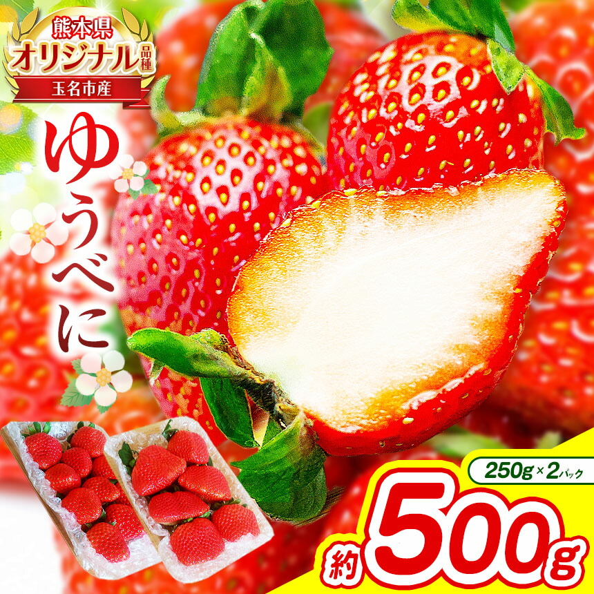 【ふるさと納税】熊本 玉名産 いちご ゆうべに 約500g （ 250g×2パック ） | 果物 くだもの フルーツ イチゴ 苺 熊本県 玉名市 産地直送 生産者直送 2パック 玉名 熊本 送料無料