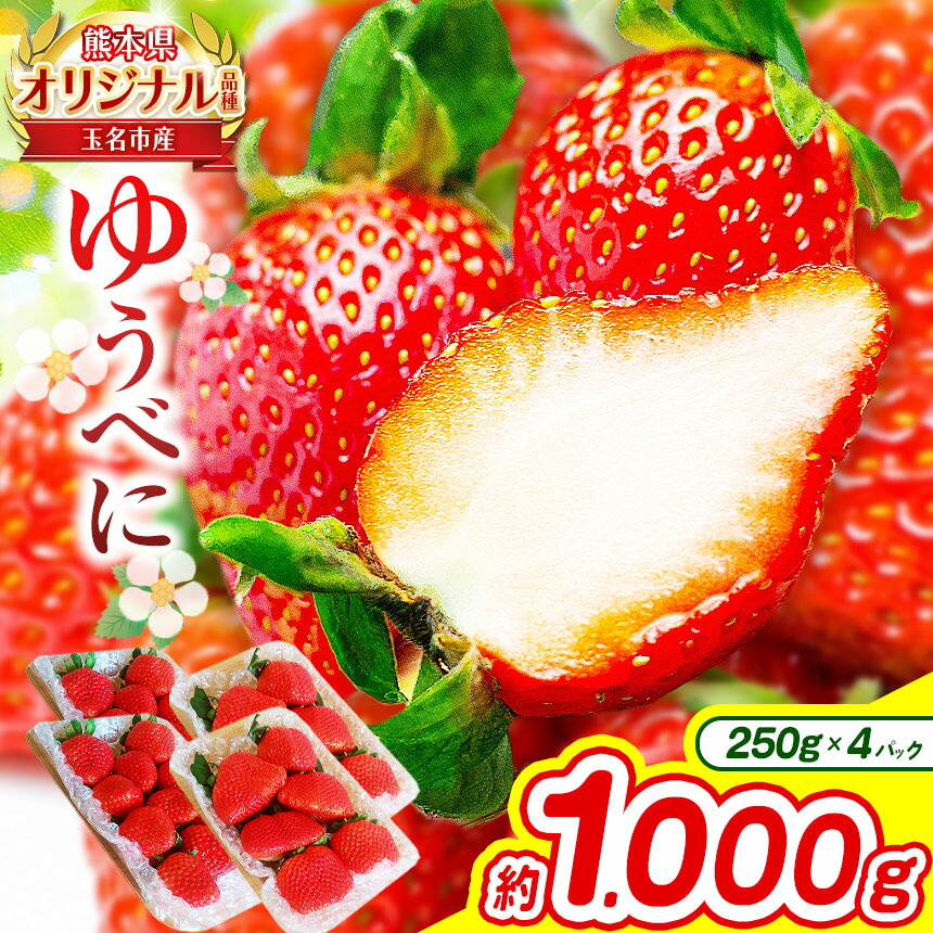 【ふるさと納税】熊本 玉名産 いちご ゆうべに 約1000g （ 250g×4パック ） | 果物 くだもの フルーツ イチゴ 苺 熊本県 玉名市 産地直送 生産者直送 4パック 玉名 熊本 送料無料