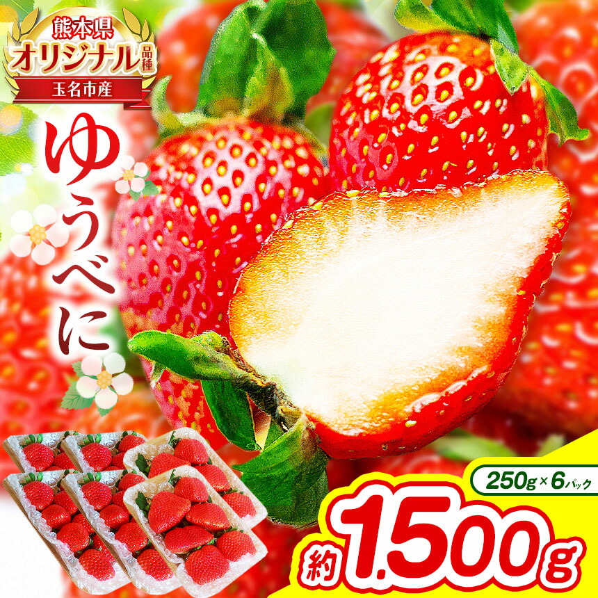 【ふるさと納税】熊本 玉名産 いちご ゆうべに 約1.5kg （ 250g×6パック ） | 果物 くだもの フルーツ イチゴ 苺 熊本県 玉名市 産地直送 生産者直送 4パック 玉名 熊本 送料無料