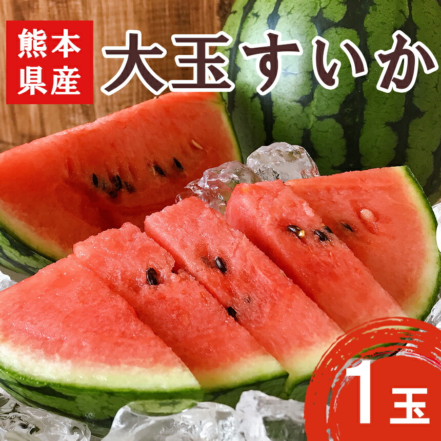 【ふるさと納税】 大玉 スイカ ( 1玉 ) 赤色 熊本県 すいか 果物 フルーツ 西瓜 くまもと産 甘い | 玉名 熊本