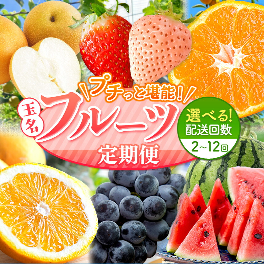 【ふるさと納税】 【 定期便 】 プチっと 堪能 ！ 人気 フルーツ ご家庭用 | 玉名 熊本 （ いちご 白いちご みかん 不知火 スイカ ぶどう 梨 柿 果物 ） 旬 果物 2回 ~ 12回 1年 訳あり 送料無料