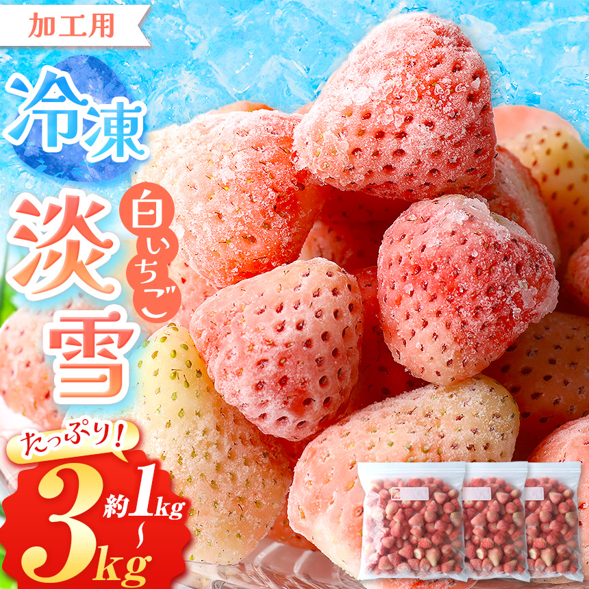 【ふるさと納税】冷凍 白 いちご 淡雪 選べる 約 1kg 約 2kg 約 3kg | 玉名 熊本 果物 フルーツ 苺 イチゴ スムージー ジャム 加工用 夏 アイス