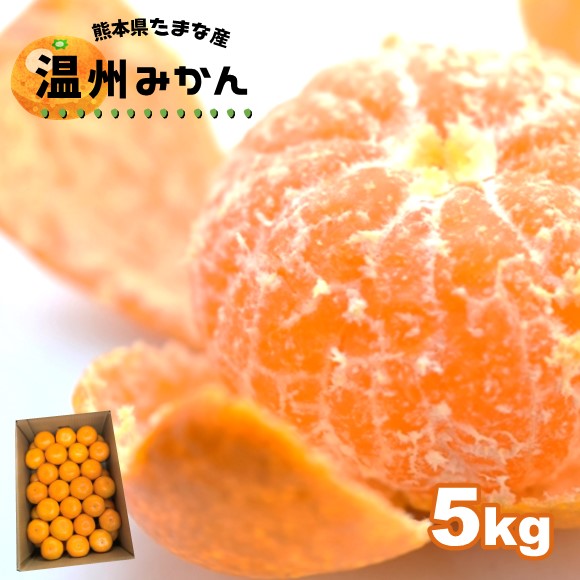 【ふるさと納税】みかん 温州みかん 5kg | 果物 くだもの フルーツ 柑橘 柑橘類 みかん 温州 5キロ 早生 極早生 肥のあかり 豊福 木村みかん 青島 玉名市 玉名 熊本 産産地直送 生産者直送 送料無料