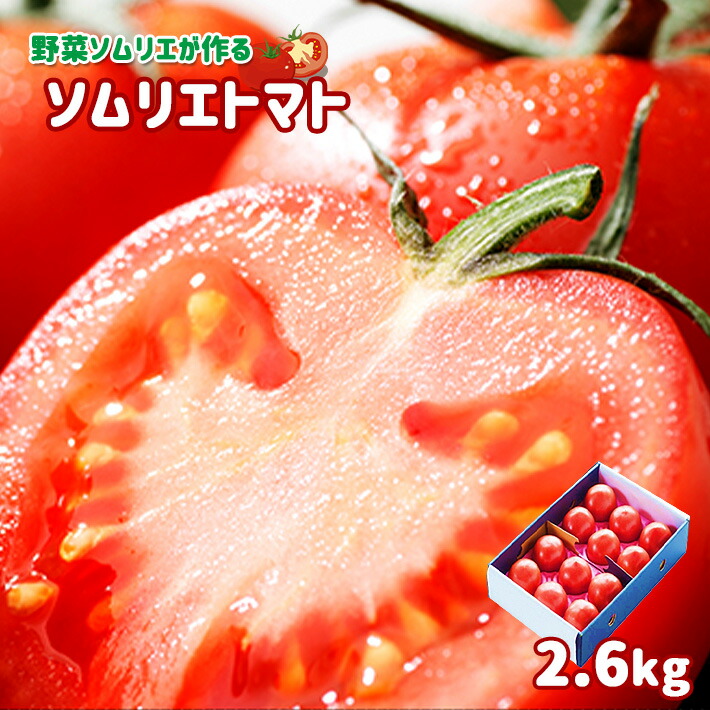 【ふるさと納税】 ソムリエトマト ( トマト 2.6kg ) | 熊本 玉名 トマト 産地直送 生産者直送 送料無料