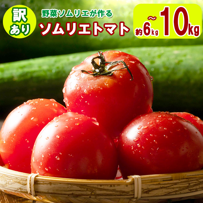 【ふるさと納税】大玉 訳あり ソムリエトマト 約 6kg ～ 10kg (約3kg～5kg × 2箱) 農家直送 熊本 玉名