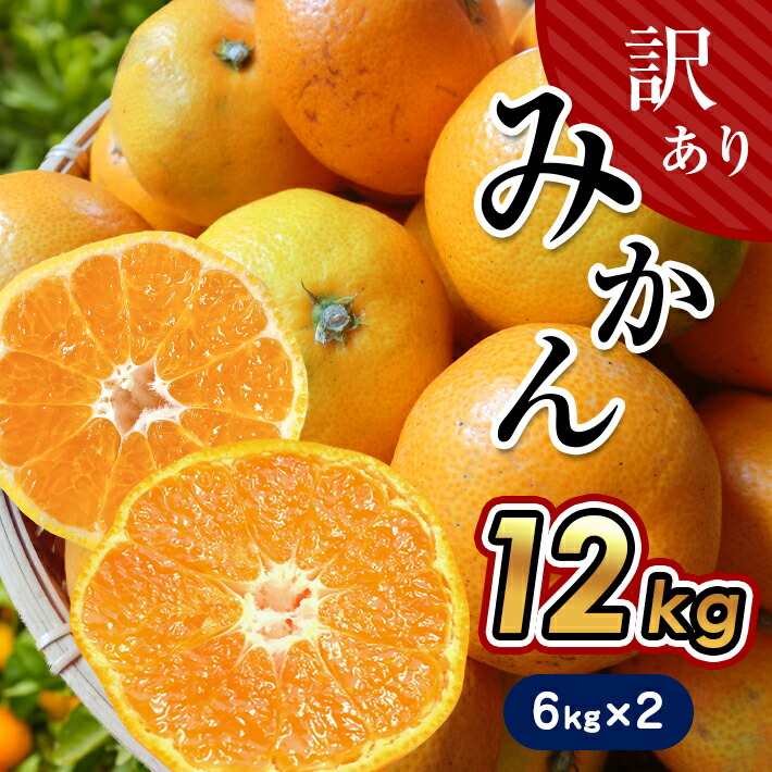 楽天市場】【ふるさと納税】訳あり 温州みかん 18kg 家庭用 18キロ 大量 みかん 玉名 熊本 送料無料 不揃い 傷 大小混合 自宅用 : 熊本県 玉名市