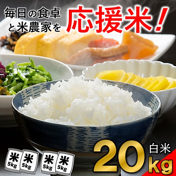 楽天市場 ふるさと納税 訳あり 米 kg お徳用 家庭用 ブレンド米 送料無料 毎日食卓 米農家応援 熊本 玉名 熊本県玉名市