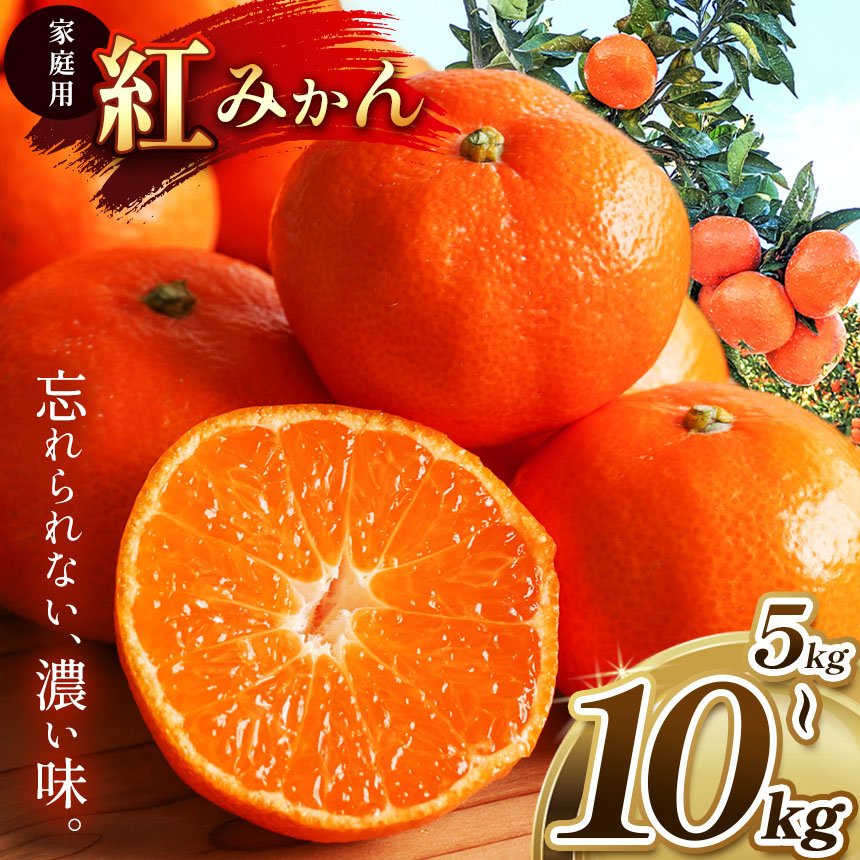 みかん fg06-07_sku.jpg