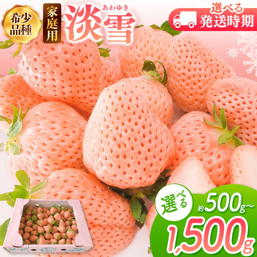 【ふるさと納税】 【 先行予約 】 ご家庭用 淡雪 選べる 約500g or 約1000g or 約1500g 12月以降 or 2月以降発送   |  訳あり 果物 フルーツ いちご 白いちご 淡雪 簡易包装 熊本 玉名 送料無料