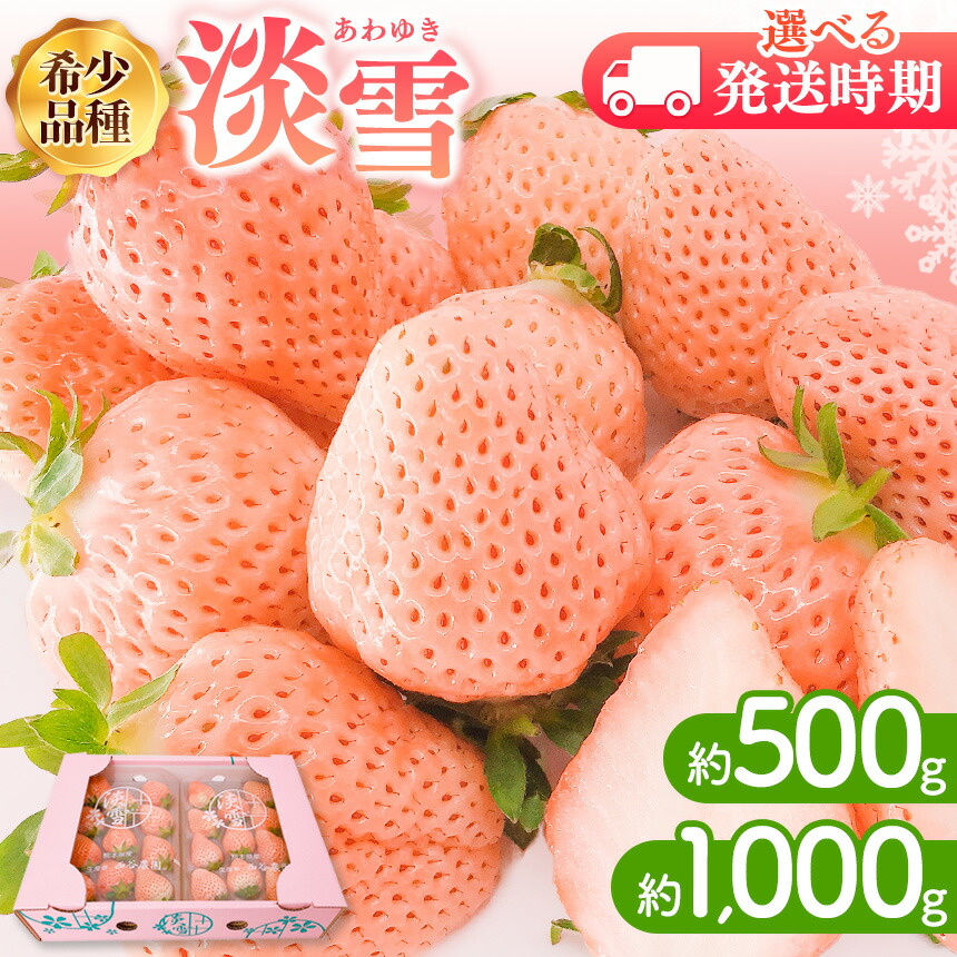 【ふるさと納税】 【 先行予約 】 12月以降or1月以降発送 淡雪 選べる 約500g or 約1000g  | フルーツ 果物 苺 イチゴ  希少品種 贈答用 プレゼント 熊本 玉名 送料無料