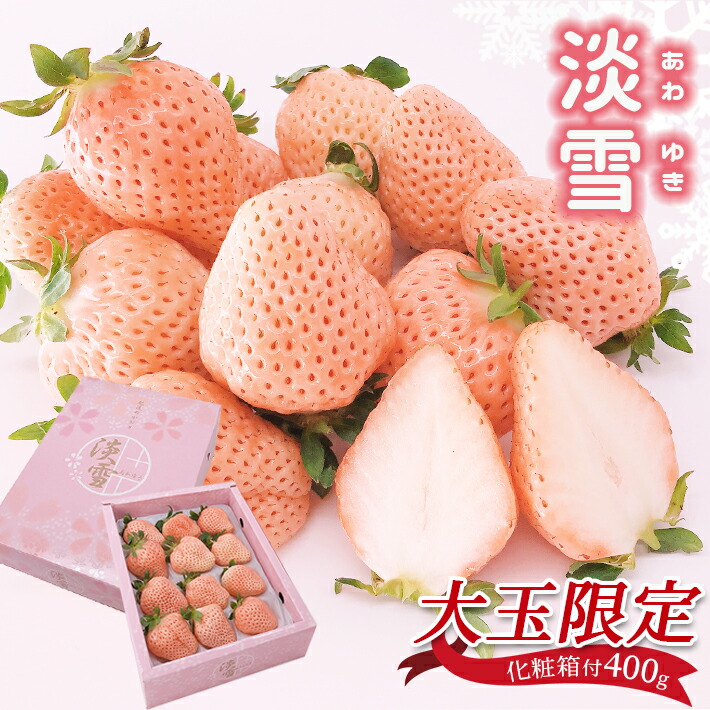 【ふるさと納税】 【 先行予約 】 大玉 限定 白いちご 淡雪 400g | いちご 苺 イチゴ 果物 フルーツ 玉名 熊本