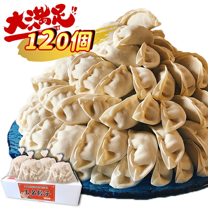 3000円 レビュー高評価の商品! 餃子 玉名餃子 どどど〜っんと 120個 30個×4袋 旨み溢れる肉汁 熊本県 玉名 横島 タレなし餃子 冷凍 送料無料