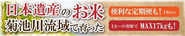 楽天市場】【ふるさと納税】フルーツ 定期便 4回 白いちご すいか 梨