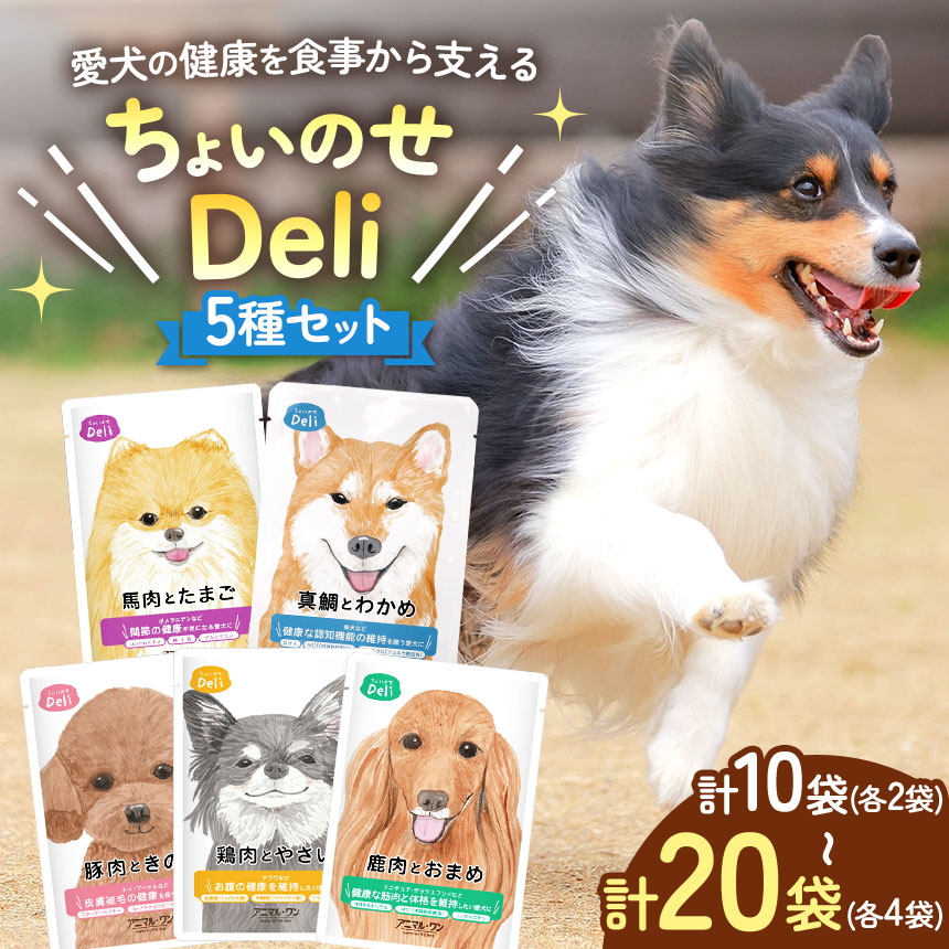 【ふるさと納税】選べる仕掛ける認知的内容！ちょいのせDeli 5種 × 各2～4袋 仕掛ける | 愛玩動物 愛犬 犬 情の籠もったボンネット 国産 ドッグフード 熊本県 玉名市
