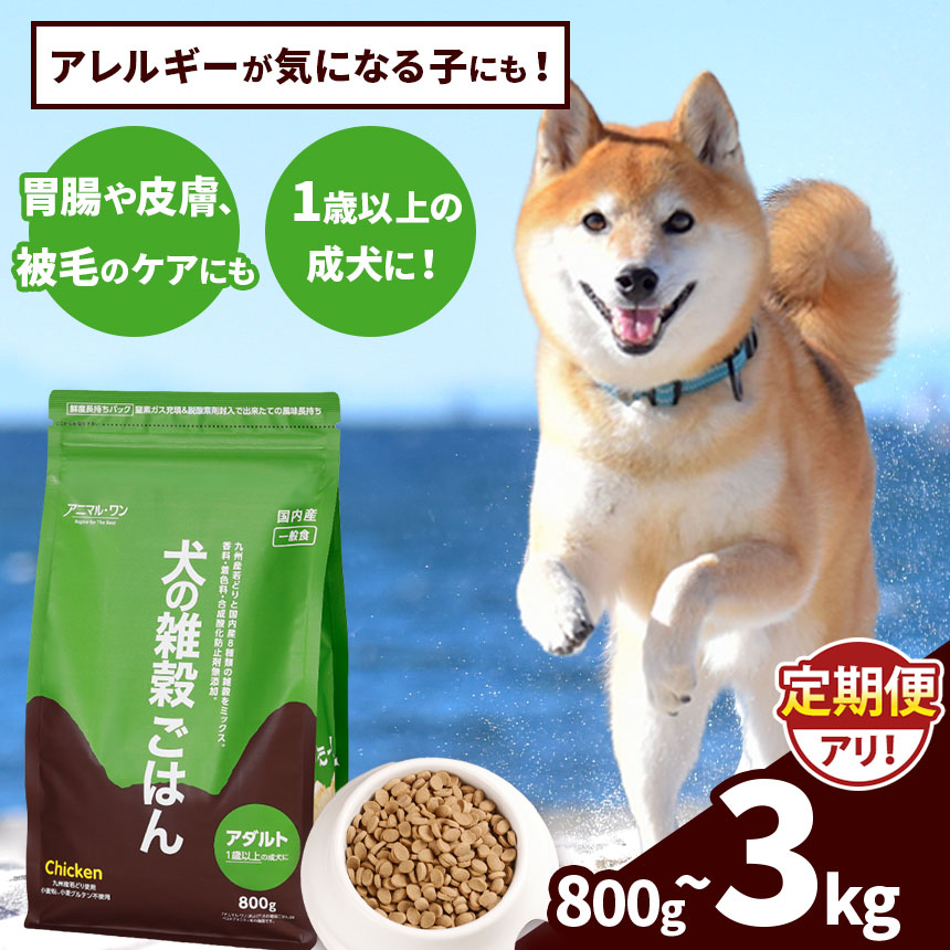 【ふるさと納税】選べる 静電容量 約800g 約1.6kg 約3kg 送りとどける出現率 1回 3回 6回 12回 アニマル・ワン 禾穀類ごはん | 愛犬 犬 ドッグフード 禾穀類 国産 無つけ加える 割り増し金 熊本県 玉名市