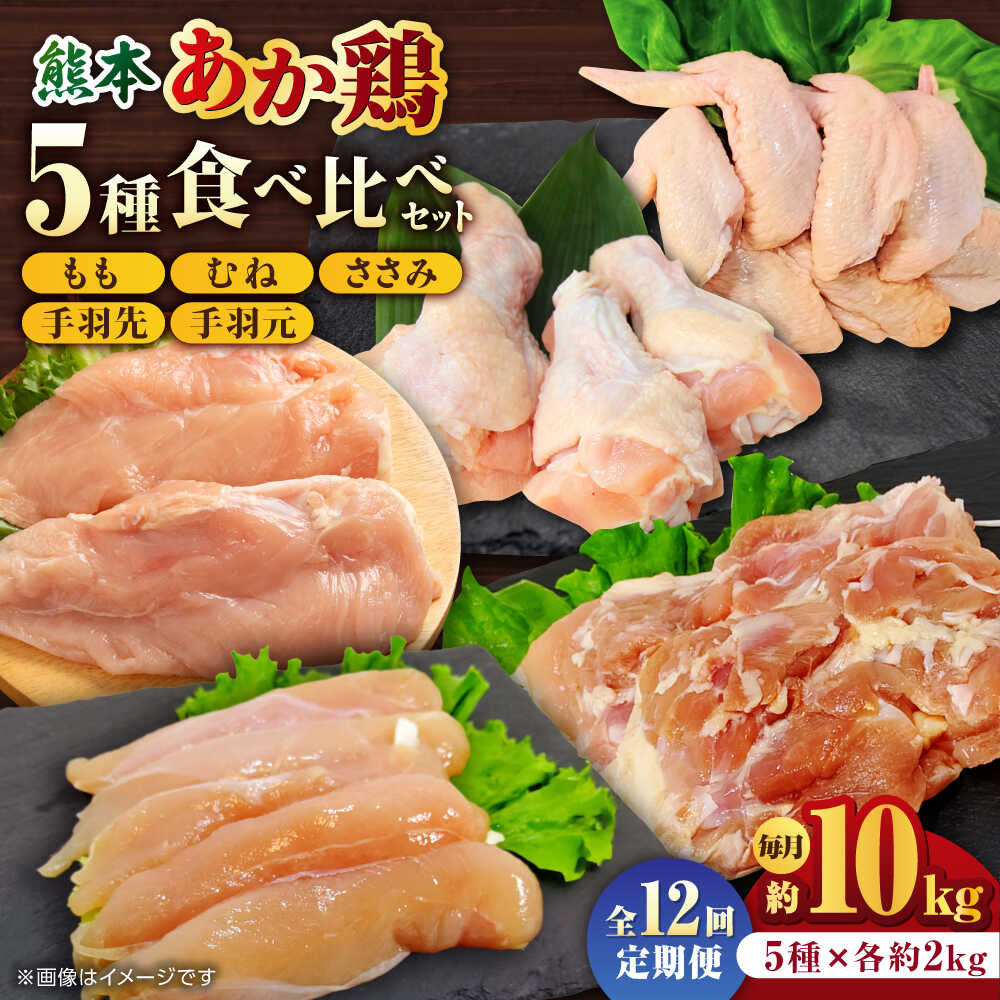 【ふるさと納税】【12回定期便】熊本あか鶏 5種食べ比べセット（モモ ささみ ムネ 手羽先 手羽元）各2kg【やまうちフード株式会社 熊本営業所】[ZAB014] 定期 12ヶ月 1年 鶏 とり肉 鳥 産地 国産 国産鶏 冷凍 大容量 むね肉 もも肉 部位 贅沢 詰め合わせ 贈答 山鹿