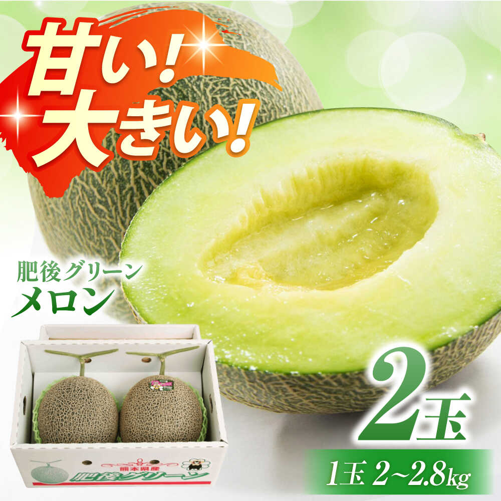 【ふるさと納税】【先行予約】肥後グリーンメロン 2玉（1玉約2.0～2.8kg）【鹿本農業協同組合】[ZAG014]