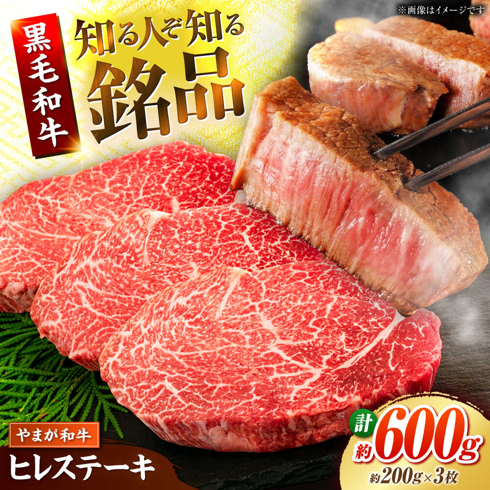 【ふるさと納税】やまが和牛 ステーキ ヒレ 約200ｇ&times;3枚 黒毛和牛 和牛 牛肉 お肉 肉 【鹿本農業協同組合】[ZAG021]｜熊本県山鹿市
