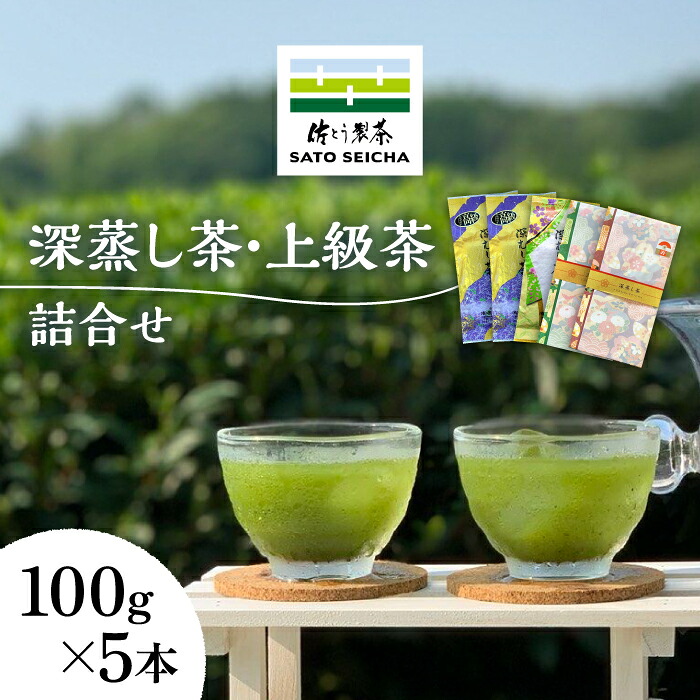 【ふるさと納税】深蒸し茶 上級茶 詰合せ 100g×5本セット 【有限会社 佐とう製茶】[ZAS001]