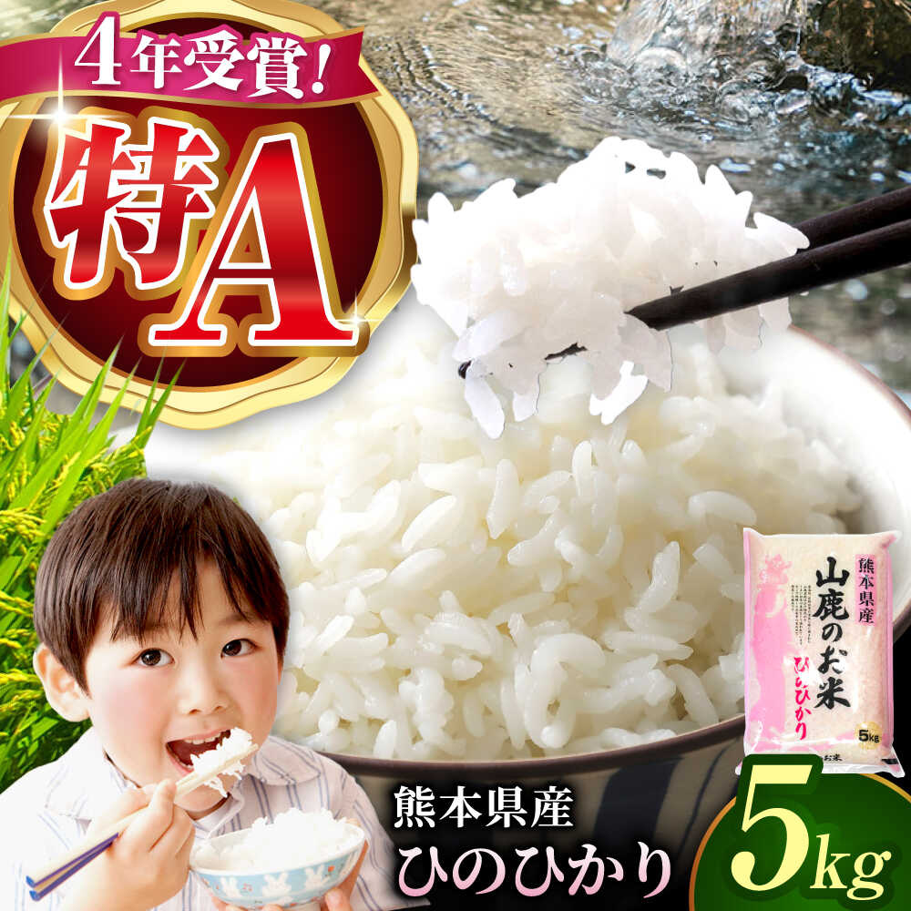 専用12本入り，お米5キロ 白米 楽天市場】【ふるさと納税】＼レビューキャンペーン／〈令和7年度新米