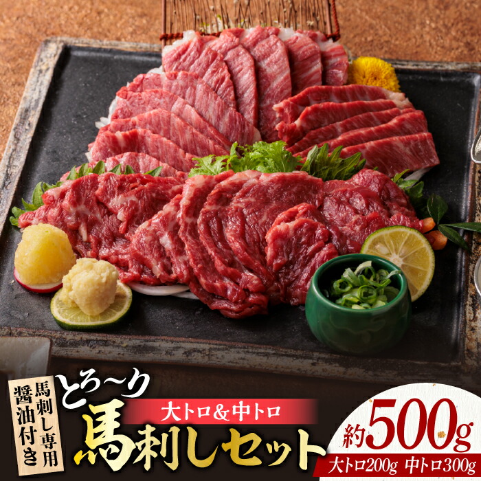 【ふるさと納税】サシが決めての「トロ～り 馬刺し セット 」 中トロ馬刺し 約50g×6 大トロ馬刺し 約50g×4 計500g 国産 馬刺し 熊本 山鹿市 霜降り サシ 大トロ 中トロ 専用醤油付き 食べ比べ セット 冷凍 小分け おつまみ ヘルシー【株式会社  利他フーズ】[ZBK005]