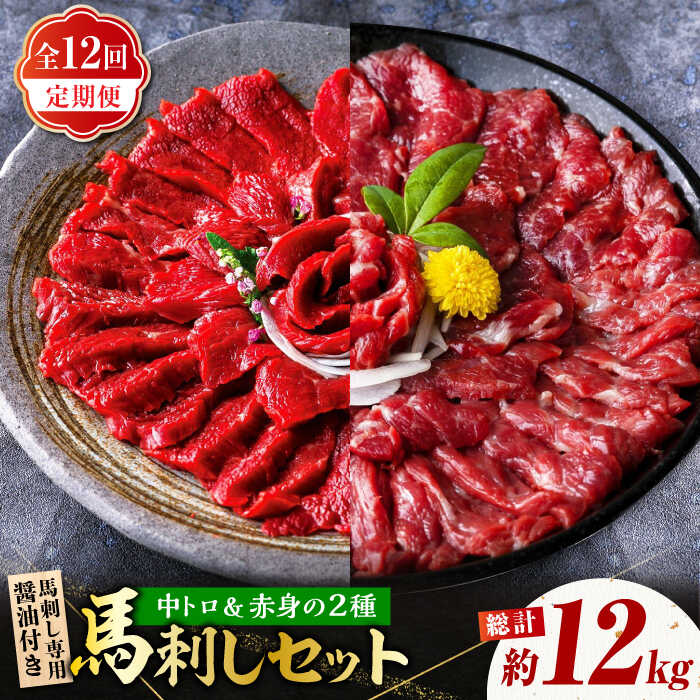 【ふるさと納税】【12回定期便】赤身 & 霜降りの「2種食べ比べセット 」 馬刺し 赤身 約50g&times;10パック 中トロ 約50g&times;10パック 国産 馬刺し赤身 国内肥育 霜降り中トロ 1キロ たっぷり 熊本 ばさし バサシ 冷凍 パック 小分け【株式会社 利他フーズ】[ZBK024]｜熊本県山鹿市