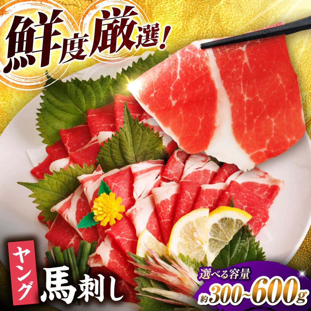 馬刺し 【ふるさと納税】《選べる容量！》熊本 ヤング馬刺し 計約300g～約600g（約100g&times;3～6パック） 肉 馬肉 便利 小分け 冷凍 生肉 刺身 山鹿 送料無料 【馬刺しの郷 民守】[ZBL012]｜熊本県山鹿市