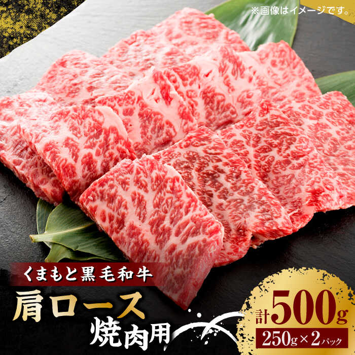 【ふるさと納税】くまもと黒毛和牛 焼肉用 肩ロース 500g（250g&times;2pc）【馬刺しの郷 民守】[ZBL033]｜熊本県山鹿市