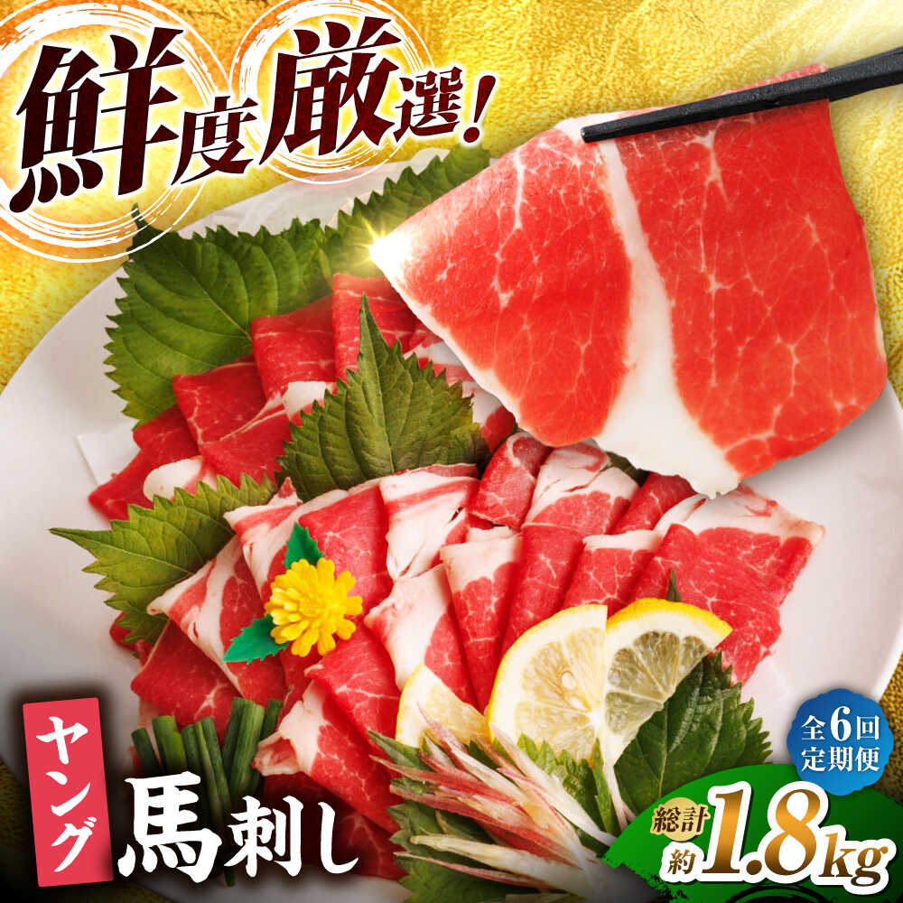 【ふるさと納税】【6回定期便】ヤング馬刺し 計300g（3pc） ヤング 馬刺し 馬肉 桜肉 馬 肉 便利 小分け 3パック コリコリ 歯ごたえがある 首周りのお肉 冷凍 生食 肉食 刺身 九州 熊本県 特産品 山鹿 送料無料 【馬刺しの郷 民守】[ZBL074]｜熊本県山鹿市