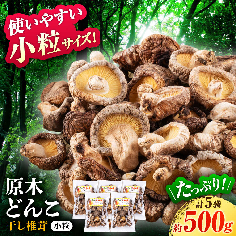 【ふるさと納税】 原木 栽培 干し 椎茸 どんこ 小粒 約500g(100g&times;5袋) 【小春農園】[ZBN004]｜熊本県山鹿市
