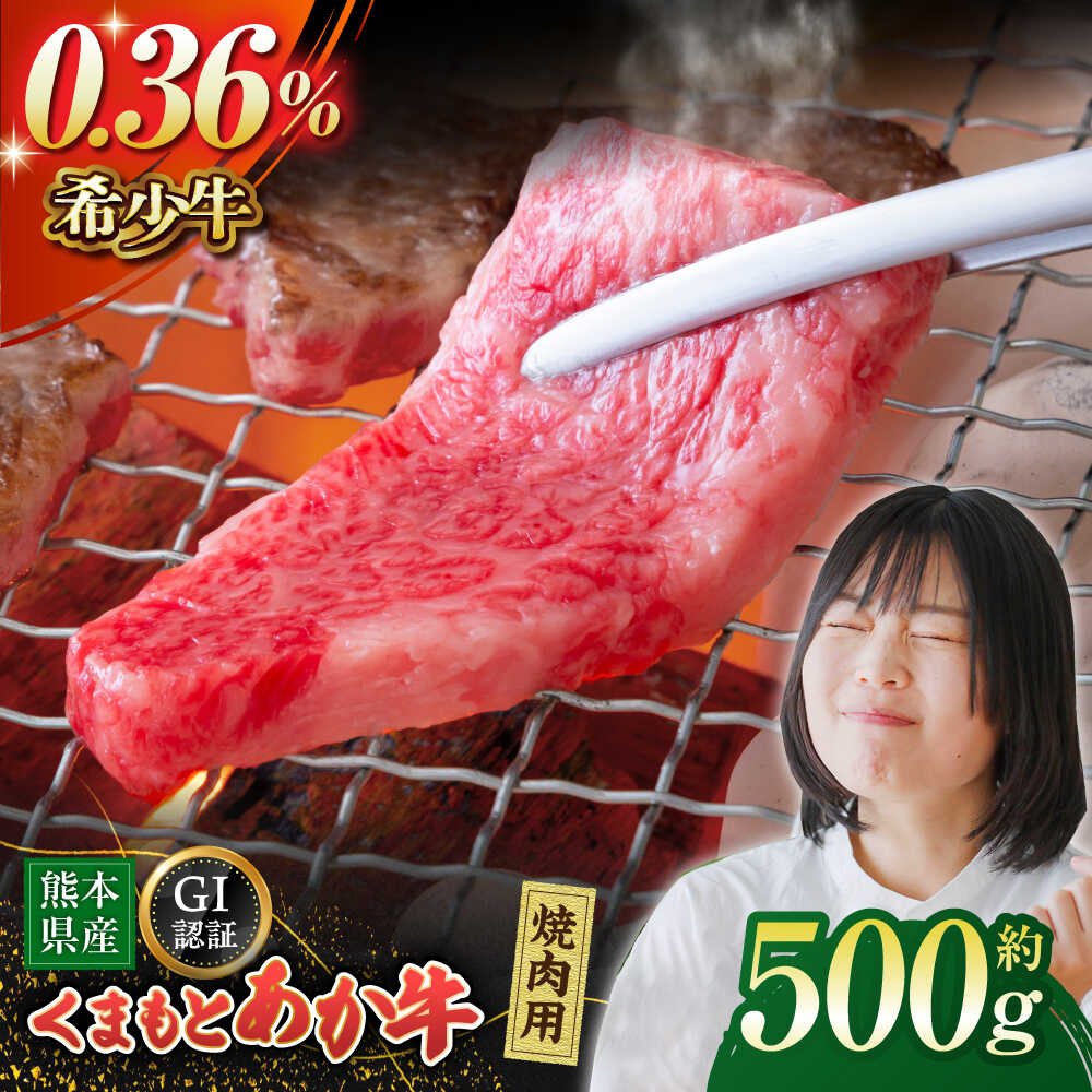 【ふるさと納税】GI認証 くまもとあか牛 焼肉用 約500ｇ【山鹿市（桜屋）】[ZBO055] 牛肉 牛 産地 国産 ブランド スライス 熊本県産 山鹿 赤牛 焼肉 焼き肉 牛丼 特産品 おすすめ 人気 ランキング レビュー 口コミ 評価 特選 ご当地 グルメ 送料無料
