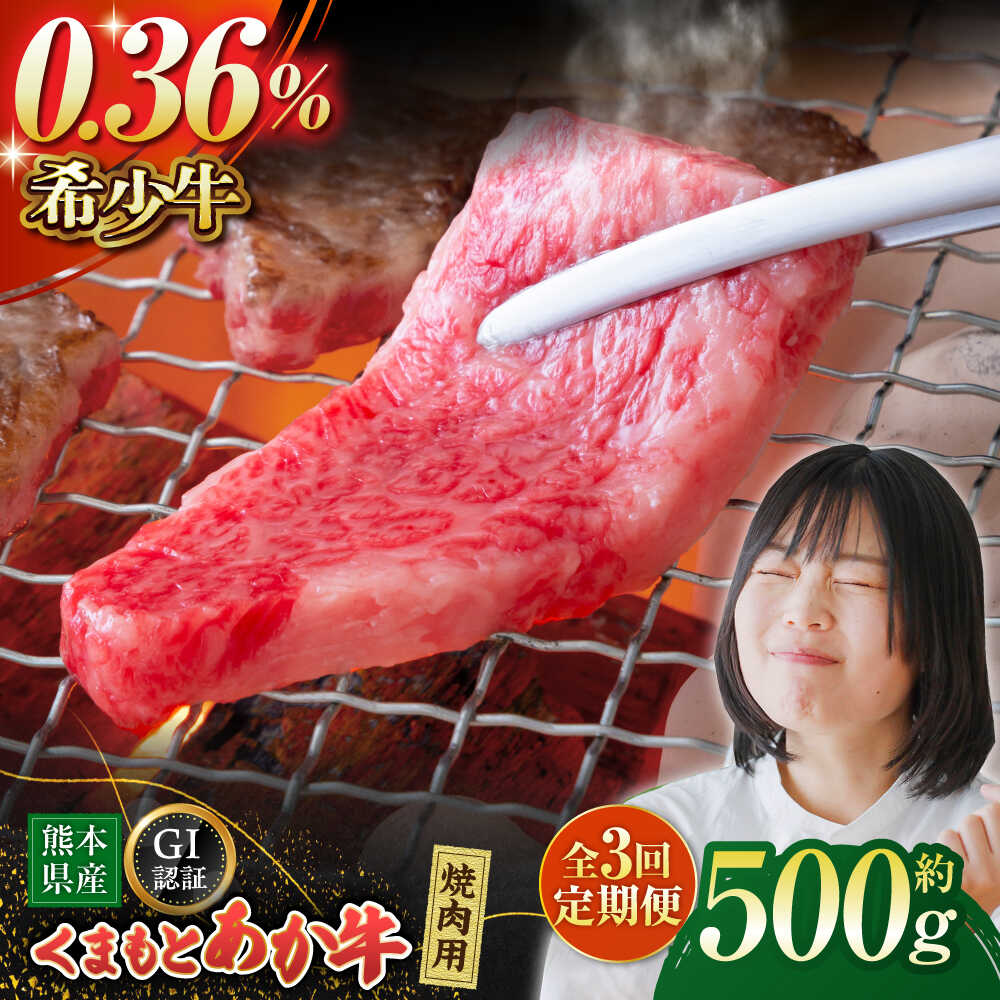 【ふるさと納税】【3回定期便】GI認証 くまもとあか牛 焼肉用 約500ｇ【山鹿市（桜屋）】[ZBO062] 牛肉 牛 産地 国産 ブランド スライス 熊本県産 山鹿 赤牛 焼肉 焼き肉 牛丼 特産品 おすすめ 人気 ランキング レビュー 特選 ご当地 グルメ 送料無料