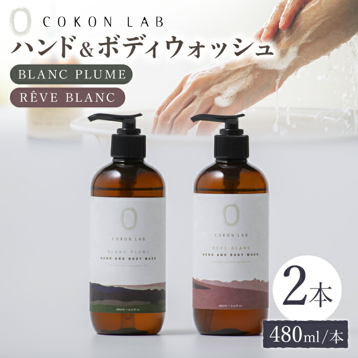【ふるさと納税】COKONLAB ハンド&ボディウォッシュ BR480ml 2本セット ボディソープ 熊本県 ハンドソープ せっけん 石けん 液体 石鹸 国産 【株式会社 あつまるホールディングス NSP山鹿工場】[ZBR006]｜熊本県山鹿市