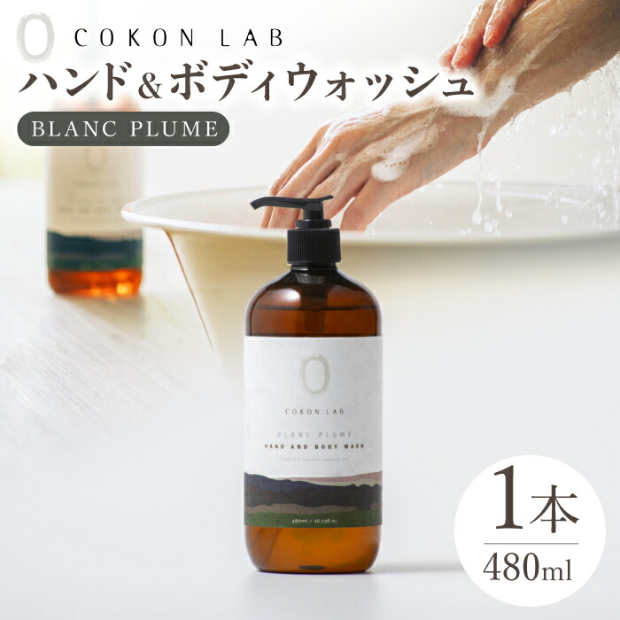 お中元特集！～山鹿の好いたらしいな夏差し上げ物～