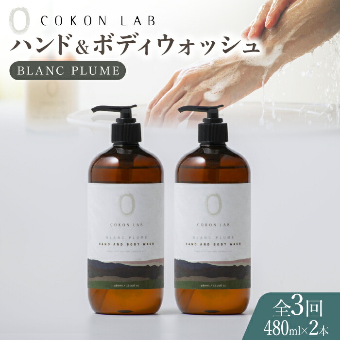 お中元特集！～山鹿の好いたらしいな夏差し上げ物～