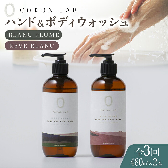 お中元特集！～山鹿の好いたらしいな夏差し上げ物～