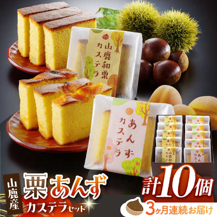 【ふるさと納税】【3回定期便】カステラセット 山鹿和栗 & あんず 計10個 【株式会社あんず】[ZBT006]