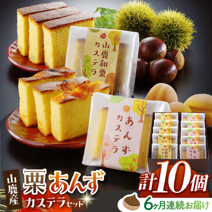 【ふるさと納税】【6回定期便】カステラセット 山鹿和栗 & あんず 計10個 【株式会社あんず】[ZBT009]