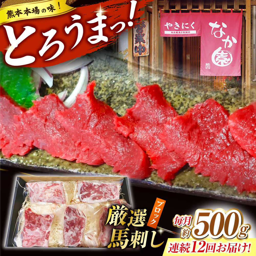 【ふるさと納税】【12回定期便】熊本 馬刺し「なか園」赤身馬刺し 約500ｇ【有限会社スイートサプライなかぞの】[ZBV079]