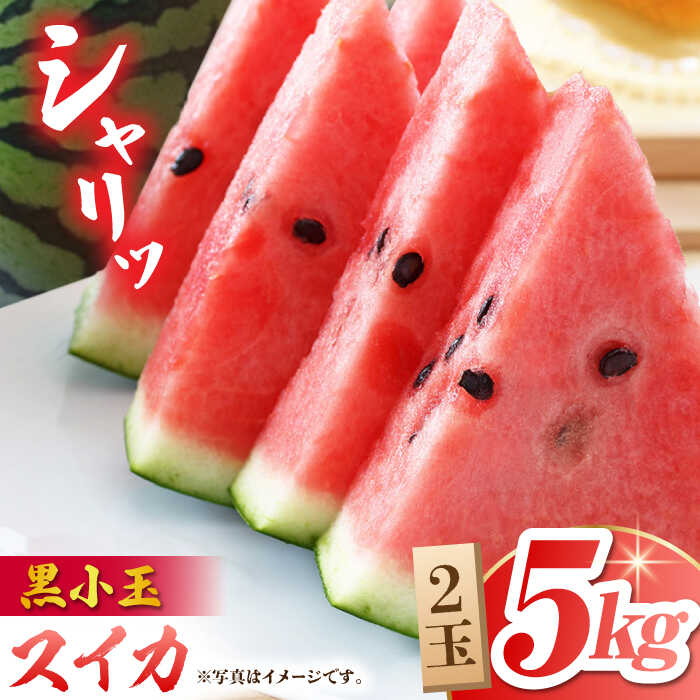 【ふるさと納税】【先行予約】【数量限定】黒小玉 スイカ (ひとりじめ BonBon) 2玉 計約5kg【岡山農園】[ZBY001] 果物 くだもの すいか 西瓜 季節物 旬 産地直送 甘さ 食感 小さい サイズ 九州 熊本県 山鹿