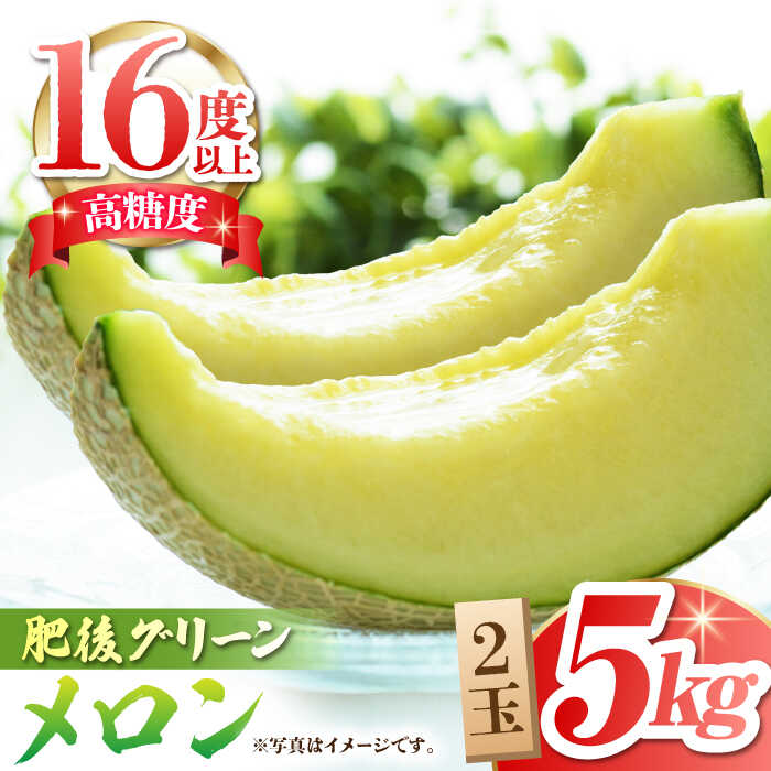 【ふるさと納税】【先行予約】【数量限定】 肥後グリーンメロン 糖度16度以上 2玉 計約5kg【岡山農園】[ZBY002] 果物 くだもの メロン めろん 旬 フルーツ 肥後 グリーンメロン ブランド 甘さ 糖度 16度 食感 大きい サイズ 九州 熊本県 山鹿