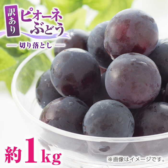 【ふるさと納税】【先行予約】訳あり ピオーネ ぶどう 切り落とし 約1kg ブドウ 葡萄 おすすめ 国産 熊本県 山鹿 果物 くだもの フルーツ 人気 ランキング ブランド キャンペーン 特産品 種類 産地 九州 食品 季節 評価 レビュー 送料無料 【合同会社 社方園】[ZBZ007]