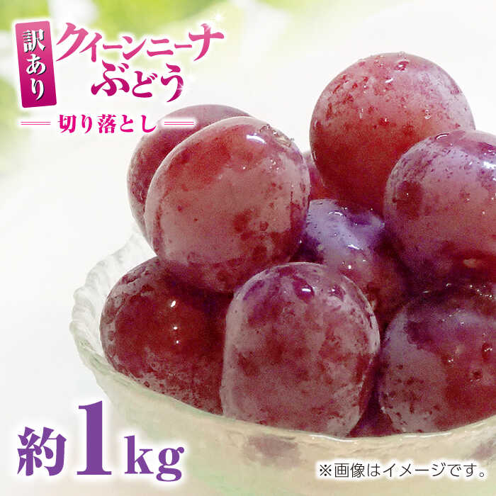 【ふるさと納税】【先行予約】訳あり クイーンニーナ ぶどう 切り落とし 約1kg ブドウ 葡萄 おすすめ 国産 熊本県 山鹿 果物 くだもの フルーツ 人気 ランキング ブランド キャンペーン 特産品 種類 産地 九州 食品 季節 評価 口コミ 送料無料【合同会社 社方園】[ZBZ008]